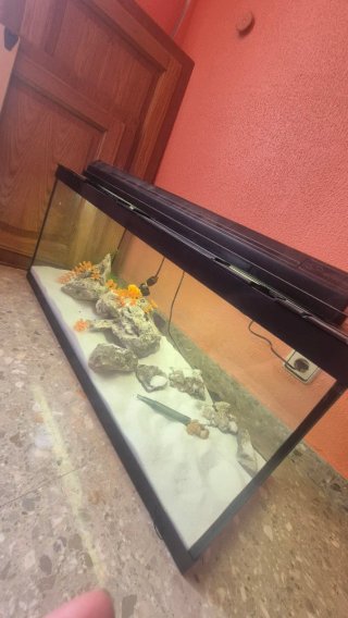 Acuario Marina con Iluminación