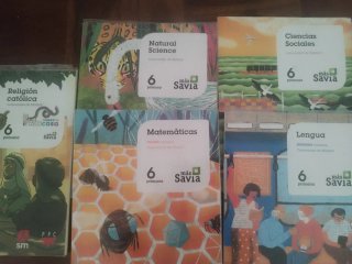 Lote libros 6 primaria Revuela