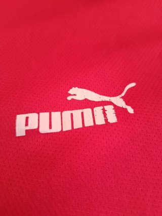 Camiseta Marruecos Puma, pone talla L pero es S