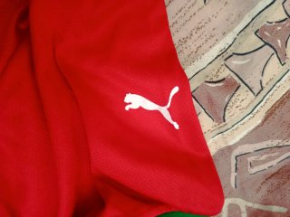 Camiseta Marruecos Puma, pone talla L pero es S