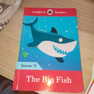 Libros Ladybird Ready