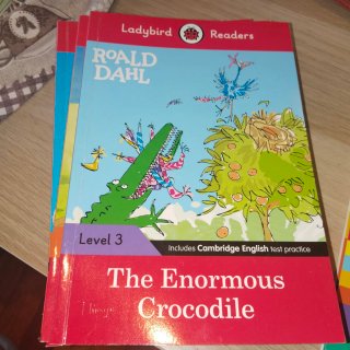 Libros Ladybird Ready