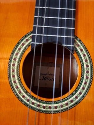 Chitarra classica con custodia nera