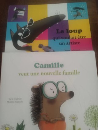Libros francés