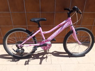 Bicicleta niña rosa 20 pulgadas