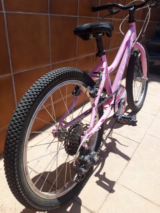 Bicicleta niña rosa 20 pulgadas