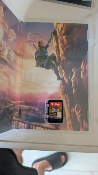 Zelda Breath of the Wild
