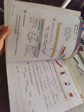 Llengua 2 Primaria Anaya Nou Bonvent