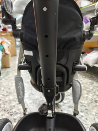 Triciclo multifuncional Lionelo Berry