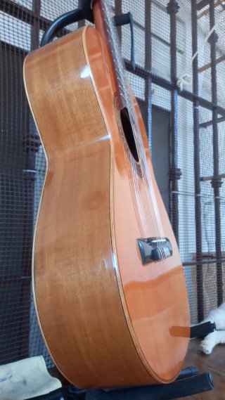 Guitarra Flamenca  1980
