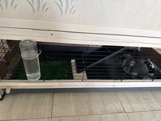 Jaula para conejos o cobayas. Vendo x fal espacio