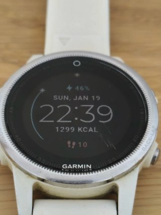 Garmin Fenix 5S Blanco Plata
