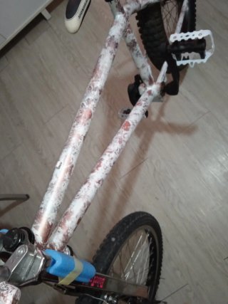Bici Monty Trial T219/B219