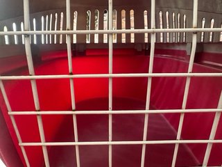 Transportín para gatos rojo y blanco