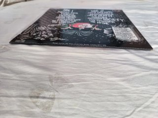 Crumbuckers Life of Dreams Punk Rock Vinile