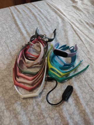 Xiaomi Mi Band 4, fundas y cargador