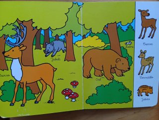 Aprendo nuevas palabras de los animales