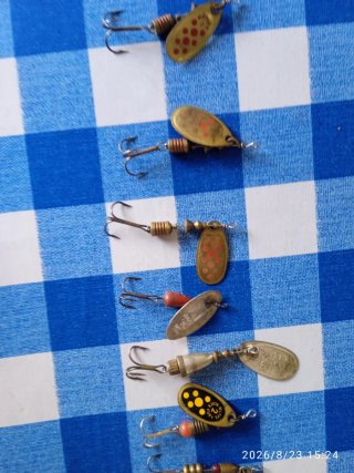 Lote 10 Cucharillas Pesca
