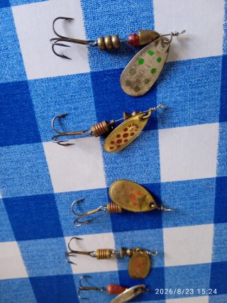 Lote 10 Cucharillas Pesca