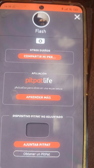 PitPat Localizador GPS Perros