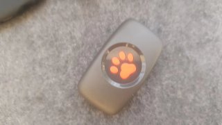 PitPat Localizador GPS Perros