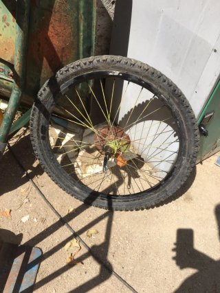 Rueda de bicicleta