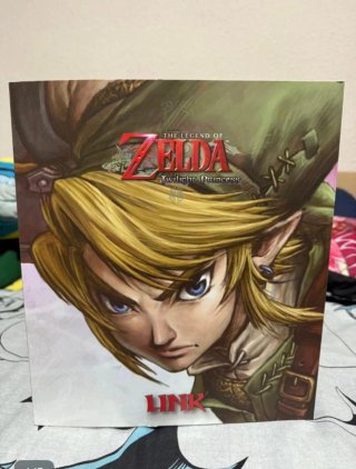 Figura Link Twilight Princess