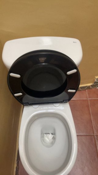 Inodoro Roca Blanco y Negro