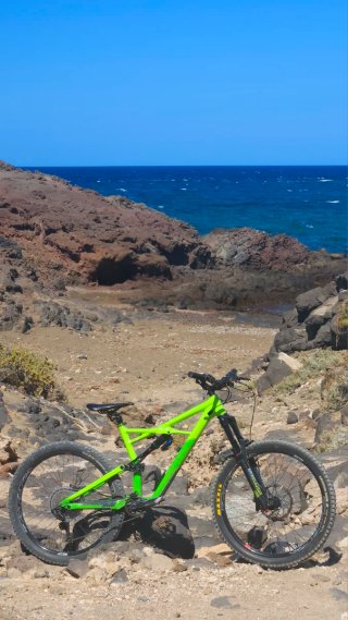 Specialized Enduro Comp 2019