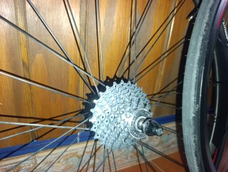 Ruedas de carbono perfil EVE