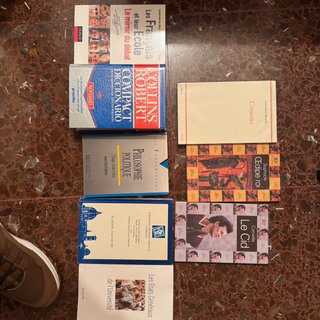 Lote de libros en frances