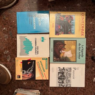 Lote de libros en frances