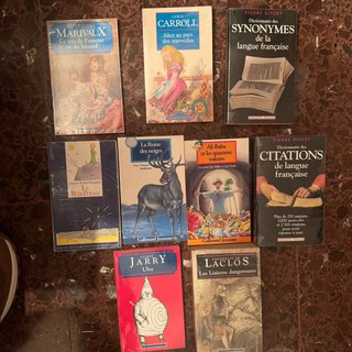 Lote de libros en frances