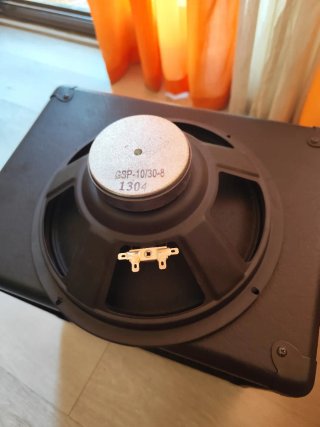 Altavoz Randall para amplificador de guitarra.