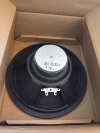 Altavoz Randall para amplificador de guitarra.