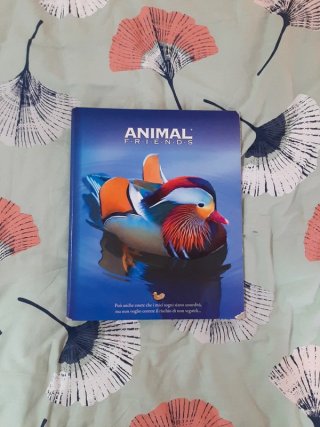 Quaderni ad anelli Animal Friends e Be Wild