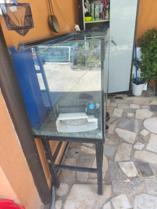 Pecera 1000L