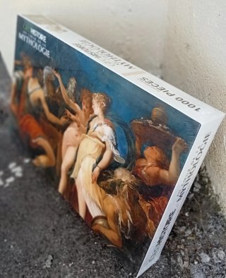 Puzzle 1000 piezas.