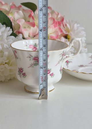 Preciosa taza de té y platillo porcelana Richmond