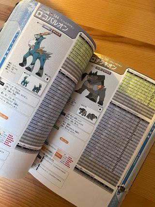 Guida Pokemon Bianco & Nero Nintendo Ds 🇯🇵