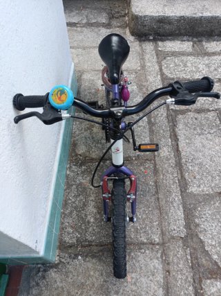 Bicicleta infantil Boomerang morada