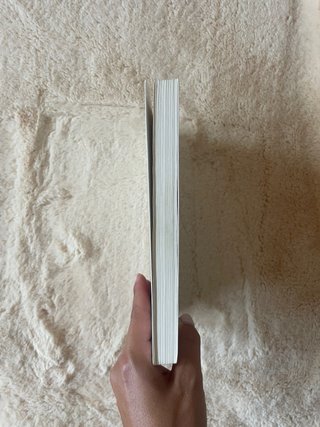 Tirant lo Blanc Episodis Amorosos Joanot Martorell