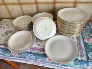 Vajilla Pontesa Royal China 56 piezas
