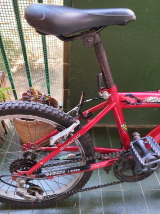 Bici Conor niño 20 5 marchas