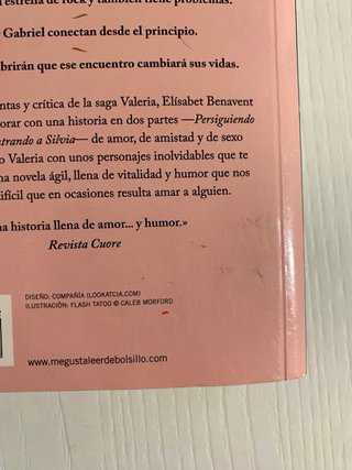 Libro Persiguiendo a Silvia de Elisabet Benavent