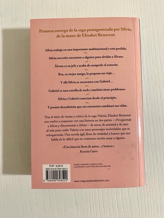 Libro Persiguiendo a Silvia de Elisabet Benavent