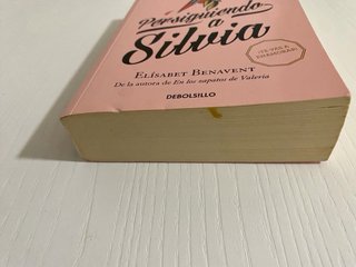 Libro Persiguiendo a Silvia de Elisabet Benavent