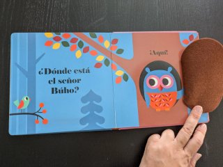 Osito, ¿dónde estás?