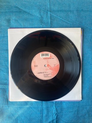 The Jesus And Mary Chain I Hate Rock N Roll 10"