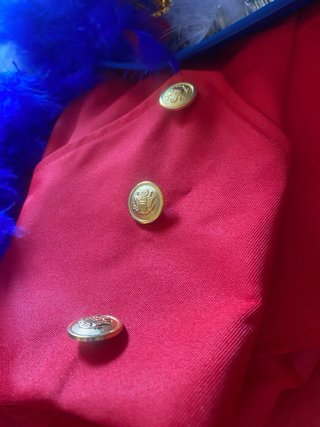 Disfraz Domadora Carnaval Talla L (dispongo de 2)